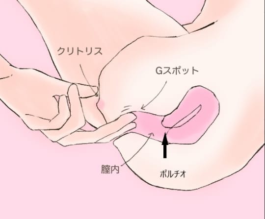 トイレットペーパーを使ったペニスの大きさと太さの測り方を紹介！｜風じゃマガジン