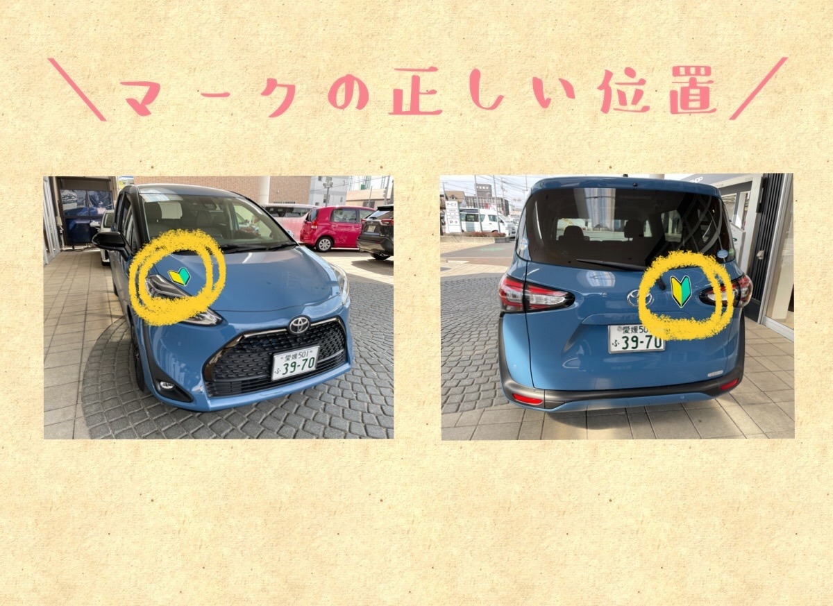 楽天市場反射 マグネット ブジカエル 初心者マーク ステッカー カエル お先にどうぞ 交通安全 安全運転 免許 シール 注意 遊び おしゃれおもしろ 初心者 若葉 シール デカール 車用 カー用品 リフレクター 磁石 カエルグッズ 蛙 : maniac collection