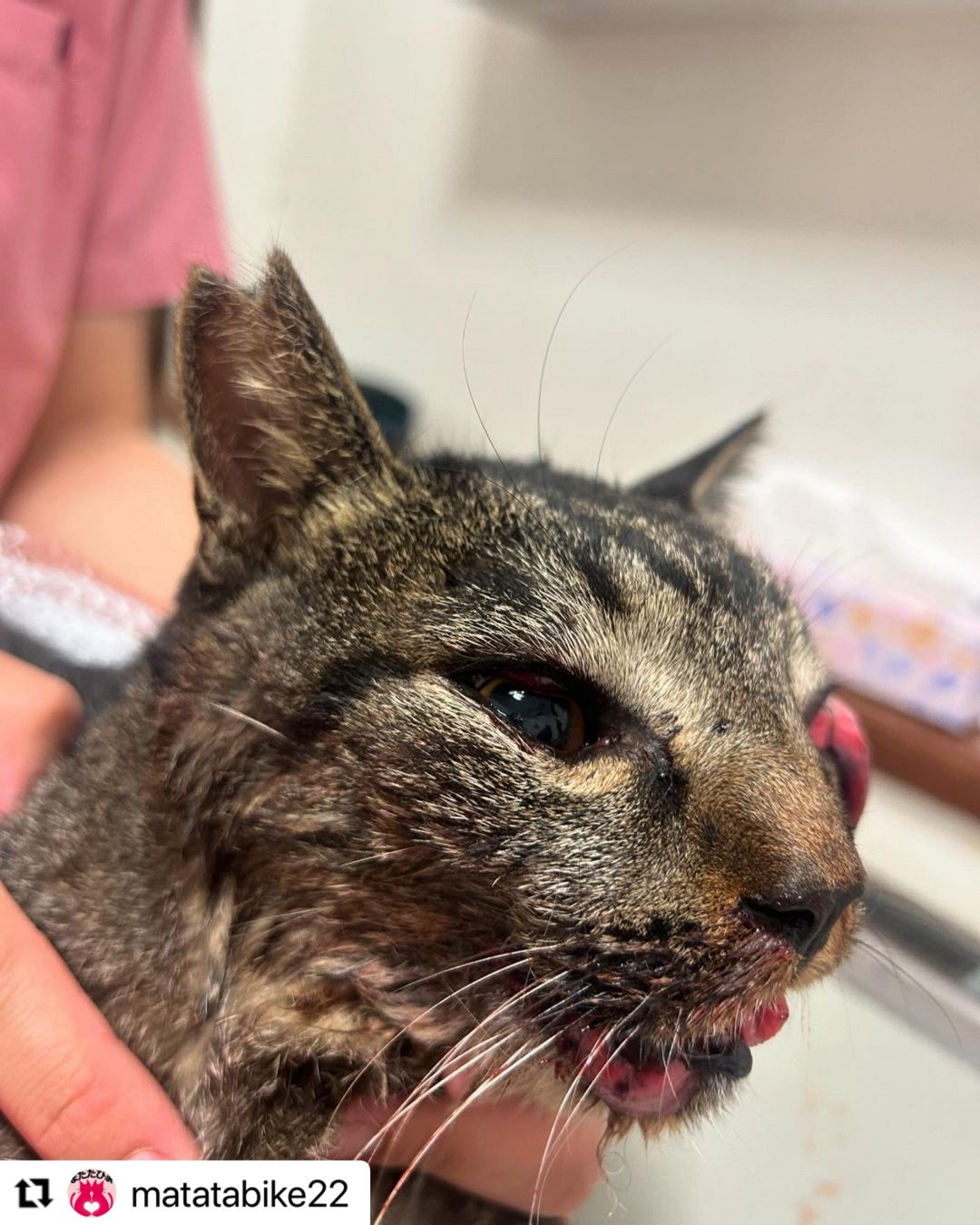 機能していない多重チェック体制は百害あって一利なしCHEQRO チェックロ -コスト削減×CSRを実現するチェック業務代行サービス