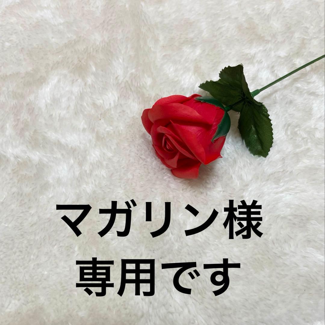 専用です♡ 女性専用トイレであることを表す貼り紙テンプレート無料・商用