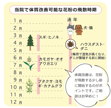 鼻水ずるずる」秋の花粉症 原因は雑草の『ブタクサ』「猛暑の影響で飛散増加か」スギ花粉より強い症状の人も どう防いだらよいのか(tbc東北放送) - 