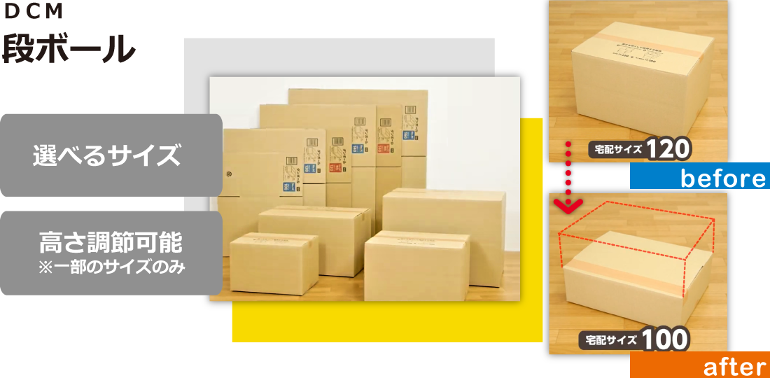 ドンキのダンボール。珍遊記