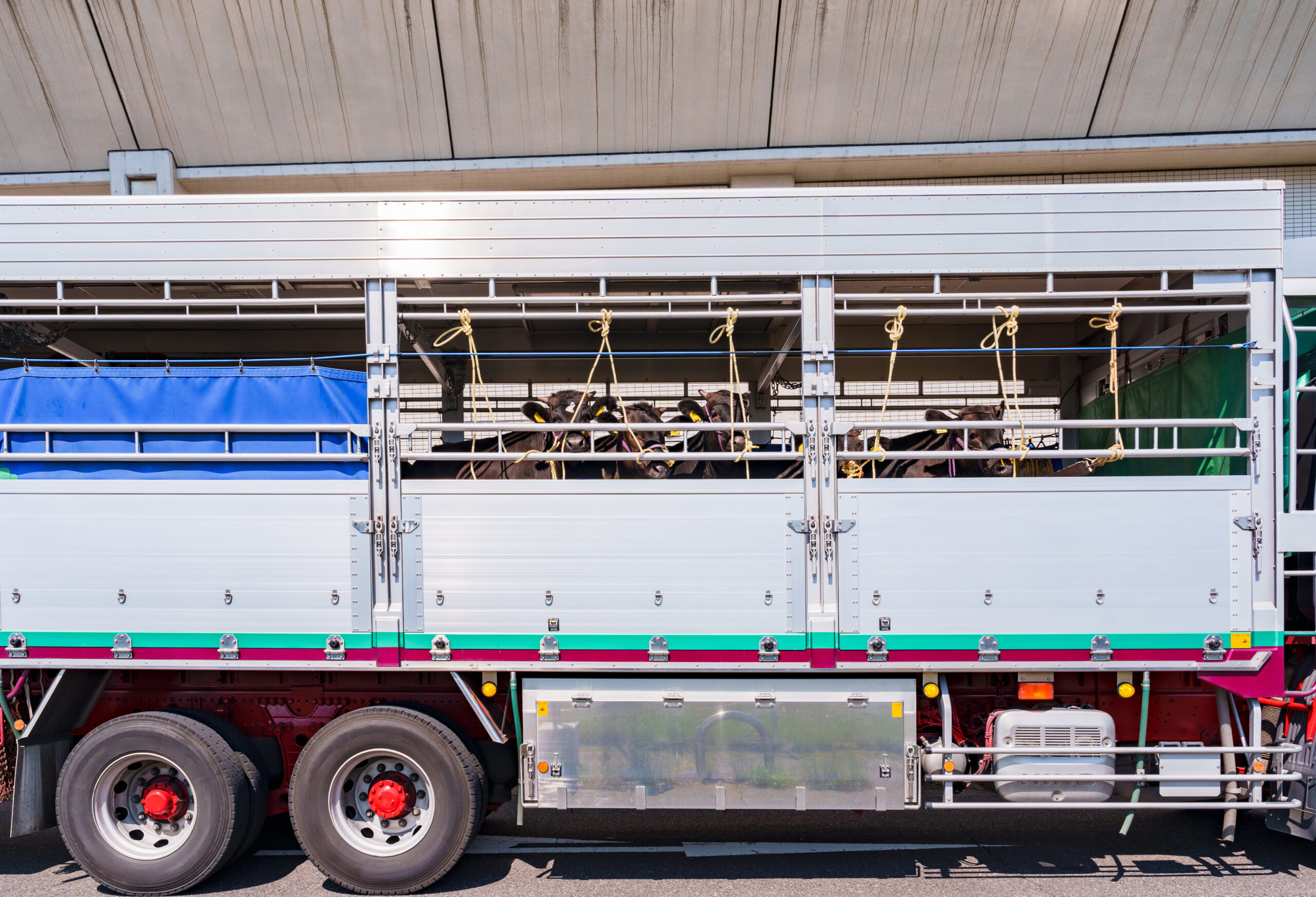 産廃トラック 産業廃棄物収集運搬車両 の種類・義務について解説産廃の現場から紙とムダをなくす