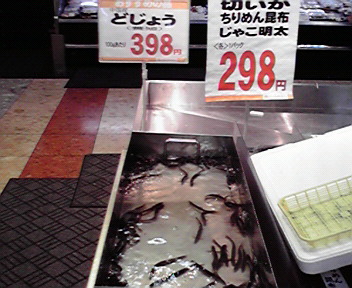 １１時～１２時まで、旧マルナカ・ダイエー貝塚店前で赤い羽根共同募金の活動をさせて頂きました。来客が少なかったので、多くの金額は集まりませんでしたが、皆さんが募金をしてくれたので嬉しかったです。 明日も同じ時間で頑張ります。赤い羽根共同募金社会福祉協議会