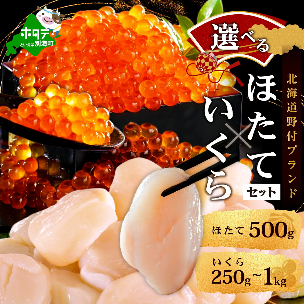 ふるさと納税 9月20日すぎに寄付額改定 高評価☆4.37 北海道産 天然 秋鮭 ほどよい塩加減 1.5kg 6切れ×3パック 発送時期が選べる小分けふるさと納税 鮭 切り身 秋鮭 さけ 訳あり 不揃い 海鮮 魚 切身 北海道 別海町 年末配送クラウドファンディング対象