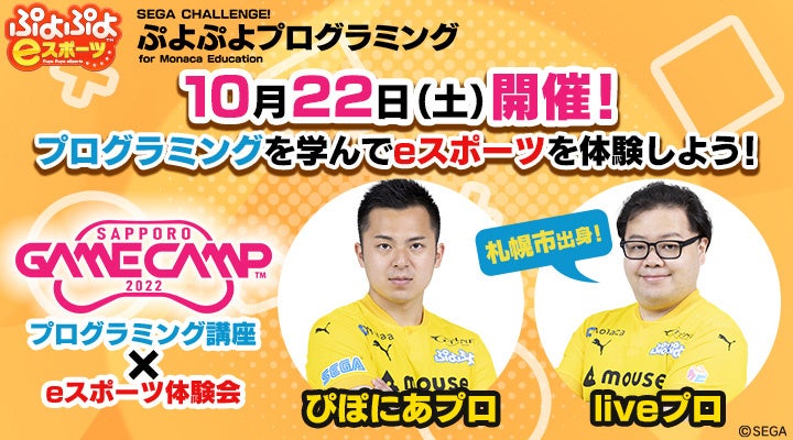 4年次MYPデザイン「ぷよぷよプログラミング講座」（12月16日） - 札幌開成中等教育学校