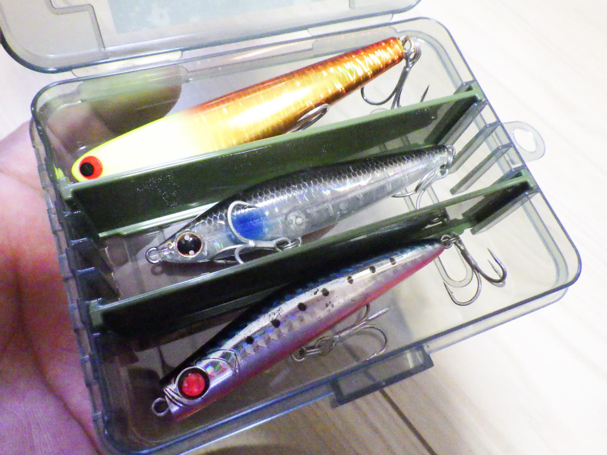ダイソーのルアーケースがコスパ最強でした - ソルトルアーのすすめ