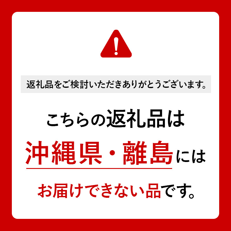 第一石鹸 薬用泡ハンドソープ 本体 250ml×12個(1ケース)|13_bsa-331201