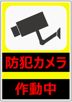 HEIKO ピクトグラムステッカー Ｍ 防犯カメラ作動中 1束 007062376 1束×10束 直送品- アスクル