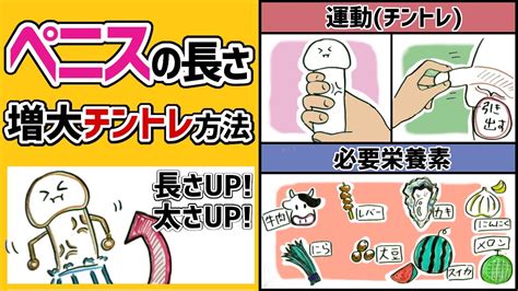 平常時のちんこを大きくする方法】小さいペニスをデカく見せる秘訣 | 男の美学