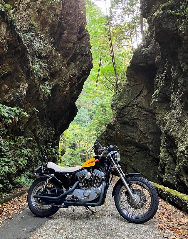 室兼林道で行く「そらふさがり」