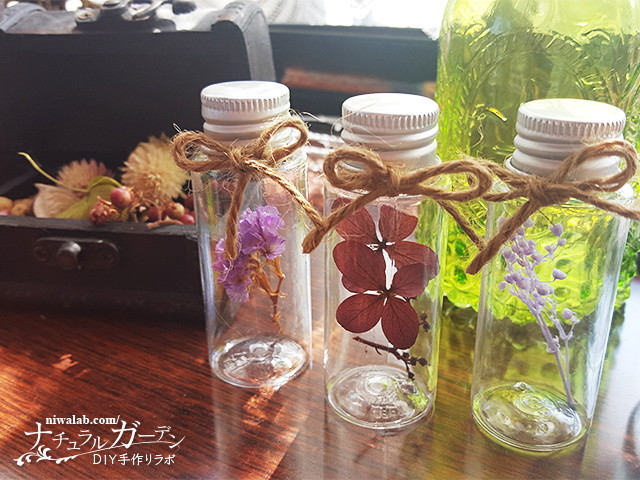 ダイソー「フタ付クリアケース」がアロマオイル小瓶の収納にぴったり！だと気付いてしまったhabit magazine