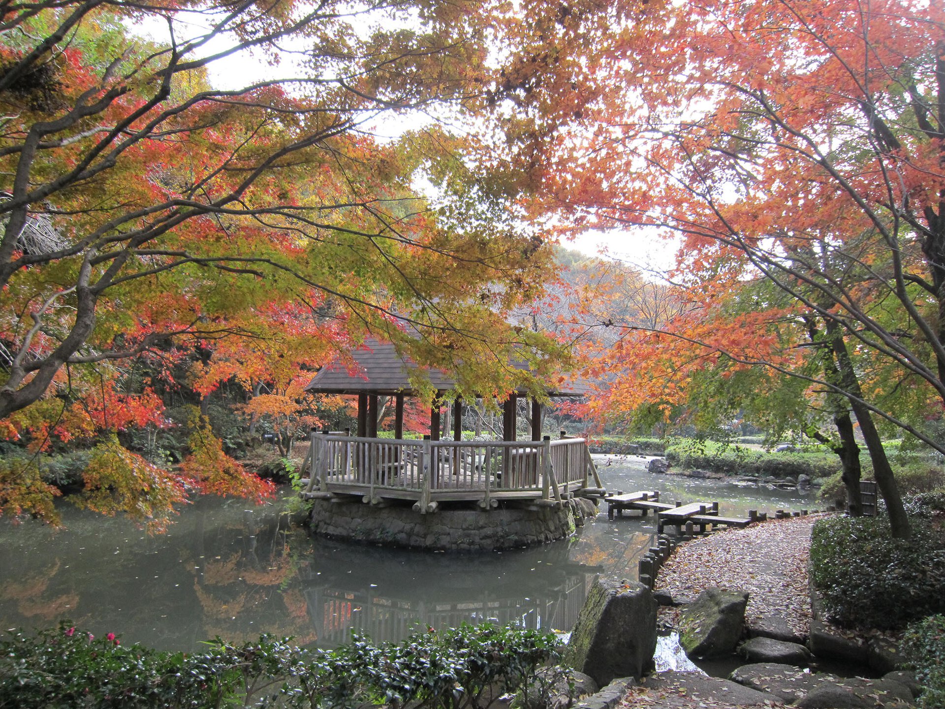 花水木（川崎市）の賃貸情報｜ネクストライフ