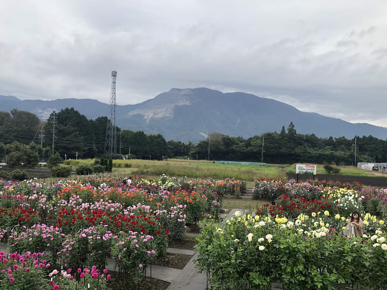 熟年カップルの