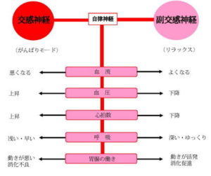 くすぐったいけど嬉しい！ 飼い主にスリスリするときの猫の主張は？ 【もふもふスコたん】vol.148｜ねこのきもちWEB MAGAZINE