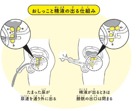 東京| 妊娠成功率90%.精液検査改善率86%.通う手間0.コストは3分の1の妊活オンラインサポート/たくみ先生 |