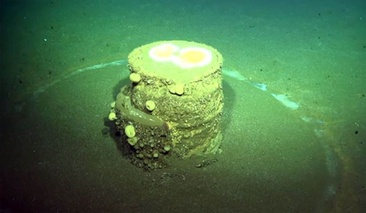 不思議な Mysterious Ball Lightning 球電現象- ニコニコ動画