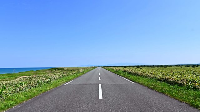 レンタカーのナンバープレート ホームメイト