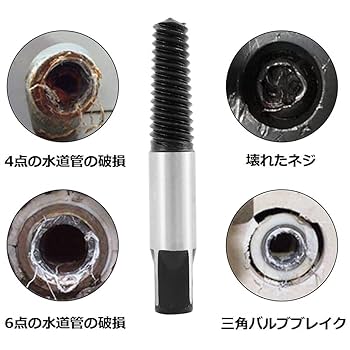 地震で飛び出した釘をネジに交換余命半年からの生還