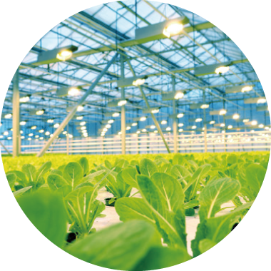 スマート農業とは？メリット・デメリットや企業の導入事例・課題を解説AKTアカサカテック