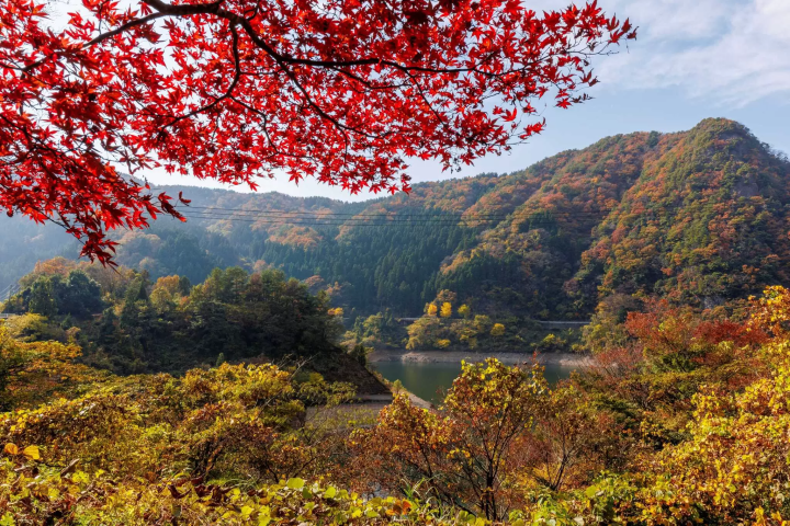 日本旅遊｜日本福井縣6個景點推薦最美溫泉鄉海鮮吃到翻過去！帶你看世界三大恐龍博物館| 旅圖ReadyGo | LINE TODAY