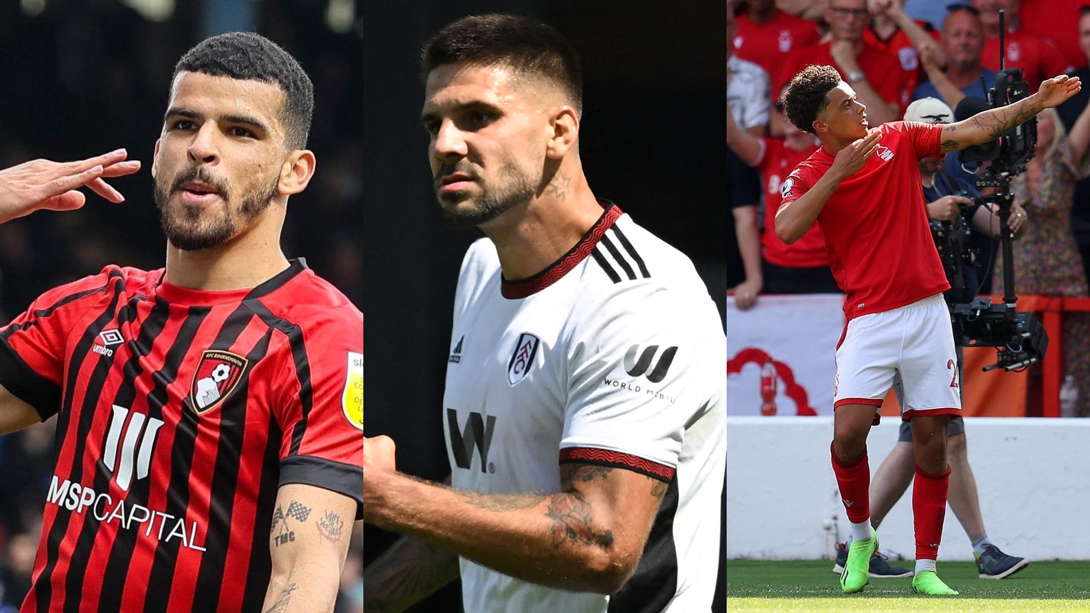 Brennan Johnson - スタッツ 25 26Transfermarkt