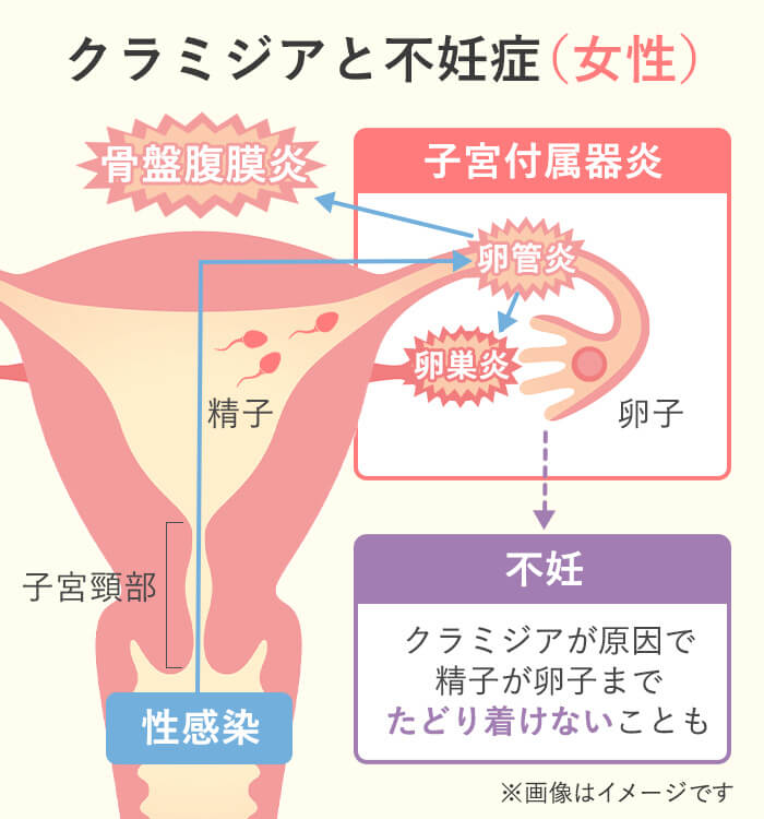 健康診断前日の食事や性行為・飲酒などの注意点について【運動やオススメの食べ物】 | ひまわり医院（内科・皮膚科）