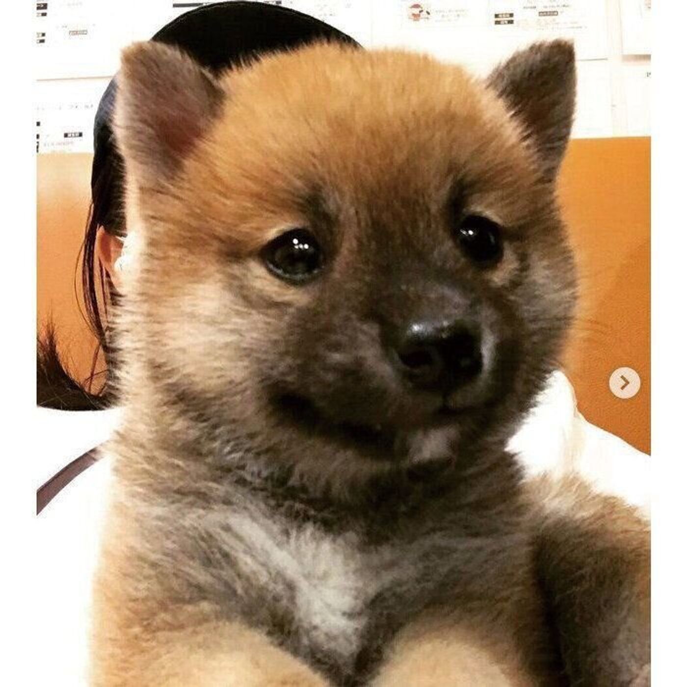 医療脱毛でヒゲが濃くなる？「どろぼうヒゲ」の原因と正しい対策を専門クリニックが解説メンズ脱毛の銀座ブライトスキンクリニック