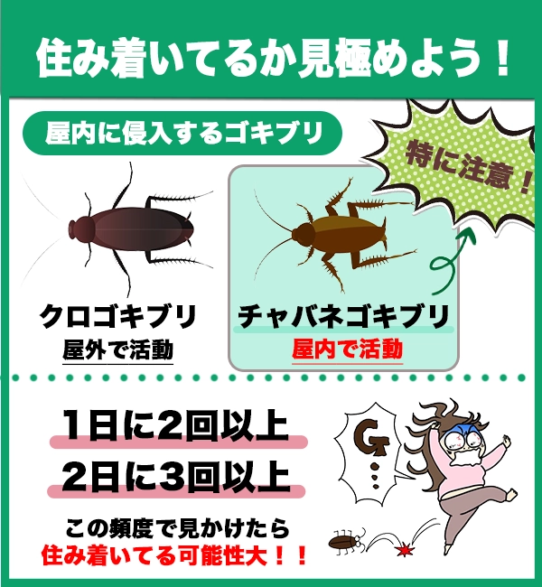 アメリカのゴキブリ対策グッズ@NY留学帯同なみお@NY在住