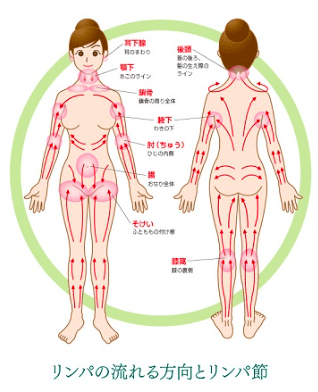 鼠径部と膝裏とジュニパー | Rananda 女性専用アロママッサージ