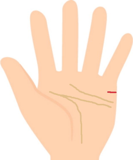 江ノ電 江ノ島電鉄 の特色と歴史 写真・動画付き 、読売新聞カメラマンが取材 : 読売新聞