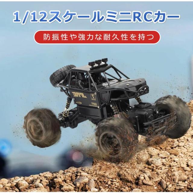 リモー 幼苗 柑橘・シトラス Citrus x amblycarpa