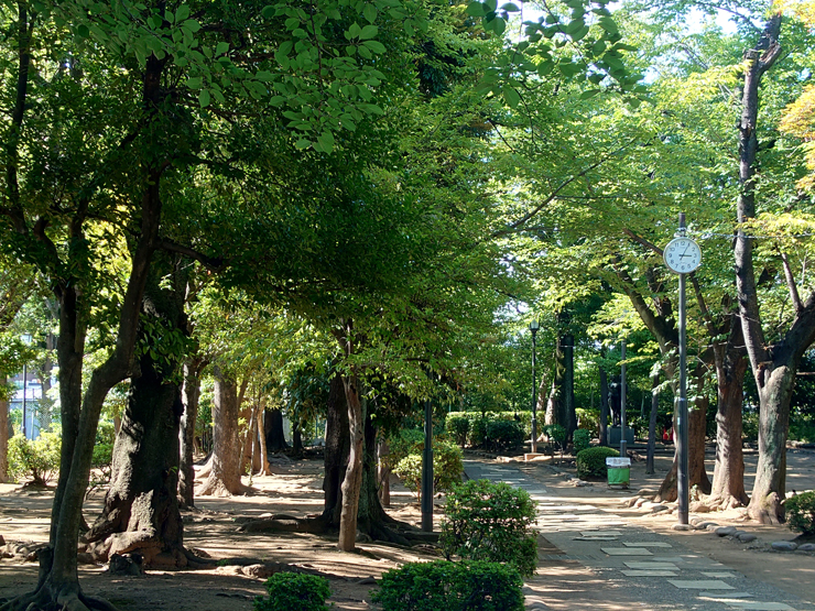 西日暮里の住みやすさを徹底解説！人気の谷根千エリアも徒歩圏内、交通利便性の高さが魅力の街 アットホーム タウンライブラリー