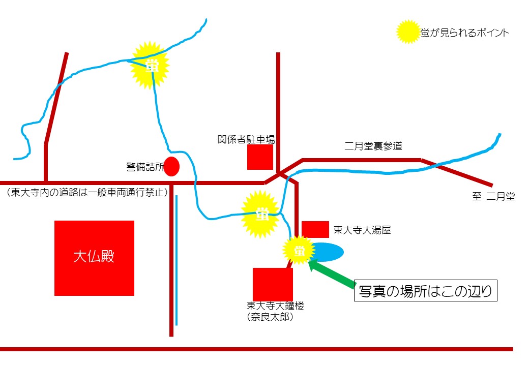 東大寺 二月堂にホタルがおった❗️ 大仏蛍の見頃時期と時間を‥‥知るつもり❓東大寺-御朱印