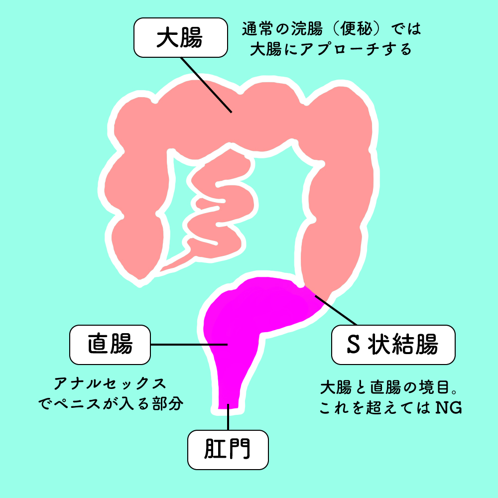 アナルセックスのやり方！準備と初めて開発 - 夜の保健室