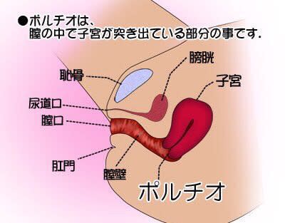 ポルチオセックスとは？やり方や位置を知って快感を引き出そう | Ray(レイ)