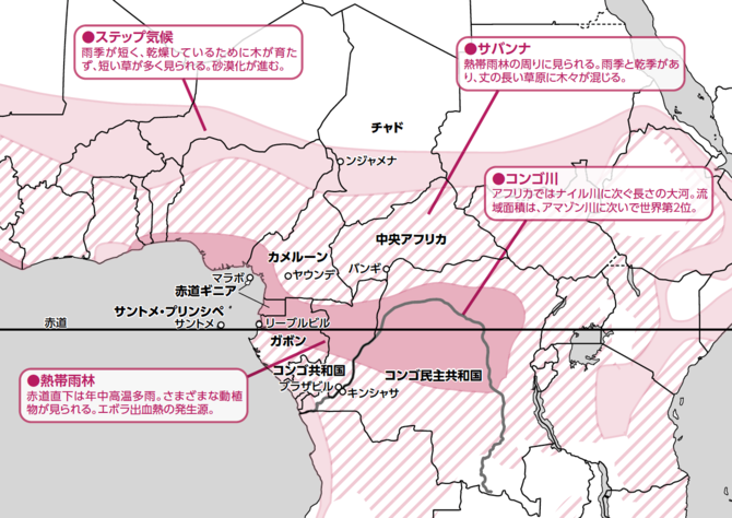 ちきゅう部だより 第15回 コンゴの農畜産業と食糧問題 – どうぶつ基金
