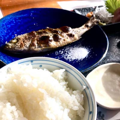 房州料理 わかせい」木更津アウトレット周辺で美味しい魚料理店｜ホーム画面へ