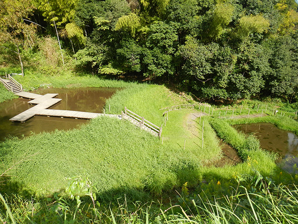 樟芝・霊芝・水素水商品を中心にみなさまの健康をサポートする健康園｜茨城県日立市