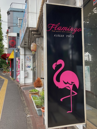 Flamingo (フラミンゴ) 水野みか