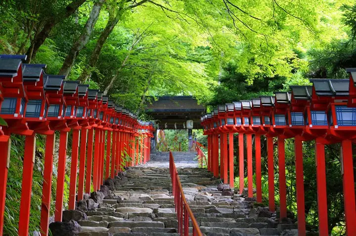 moksa】比叡山麓・八瀬の隠れ家宿へ！避暑地の別荘庭園、館内スペシャルツアー:～まるで美術館！？清流の蒸し風呂から客室、大原野菜の薪火料理ランチ付き～#ky24c0820  |