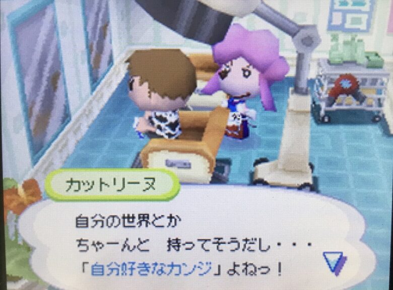 たぬきち商店 あつ森 2025年版 たぬき商店の改装条件と営業時間 あつまれ