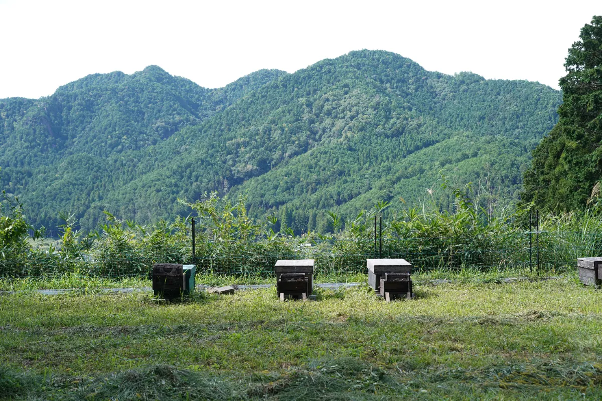 ワイン雑学 知っておきたいテロワールの意味！ – 日本ワイン.jp