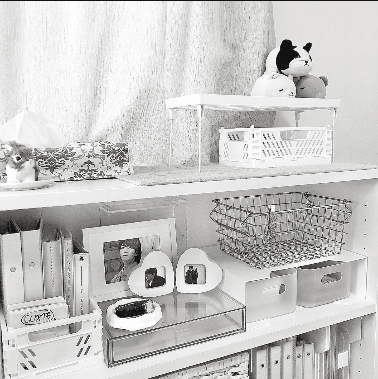 オタク収納は白で統一することにしました