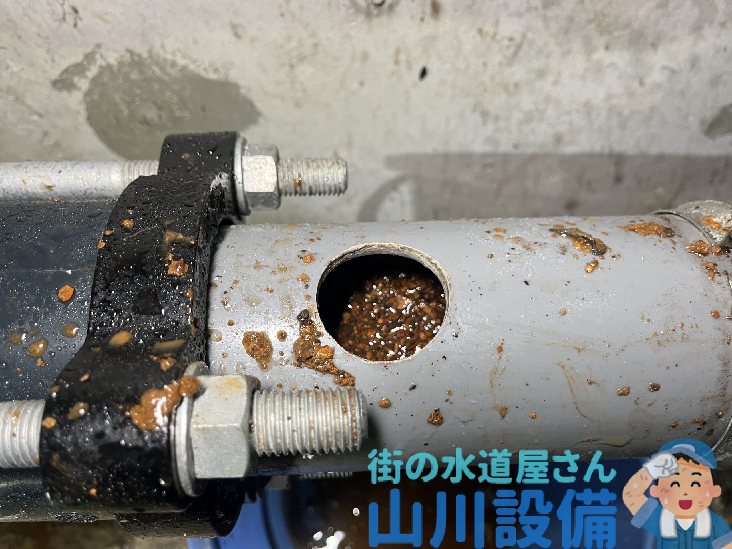 セキスイ エスロン ACドレン チーズ 呼び径50×25 ACT503N 施工 空調 エアコン 断熱 ドレン 配管 工事 結露 防止 :冷凍空調エアコン工具のメガストア - 通販 - Yahoo!ショッピング