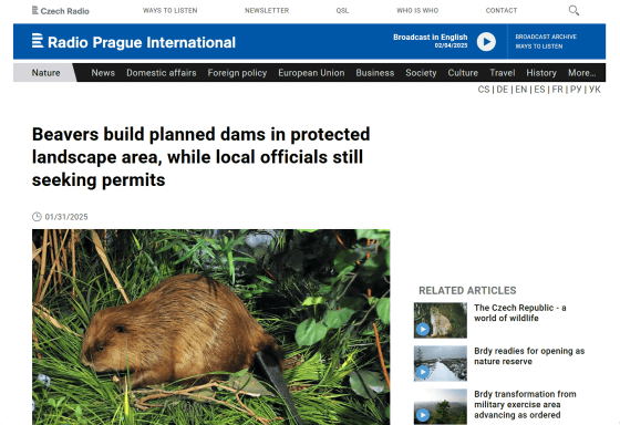 ベトナムの多様性と統一性について㊺ホアビン省ダ川のダム建設について①東城敬貴 keiki tojo