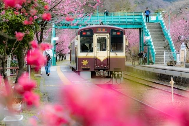 群馬の名物と絶景がみられる温泉駅！群馬・栃木コスパ旅1日目後編！ - バスレポ