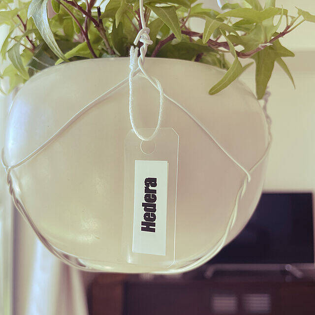 収納にもディスプレイにもおすすめ！クリアファイルの賢い活用法RoomClip mag暮らしとインテリアのwebマガジン