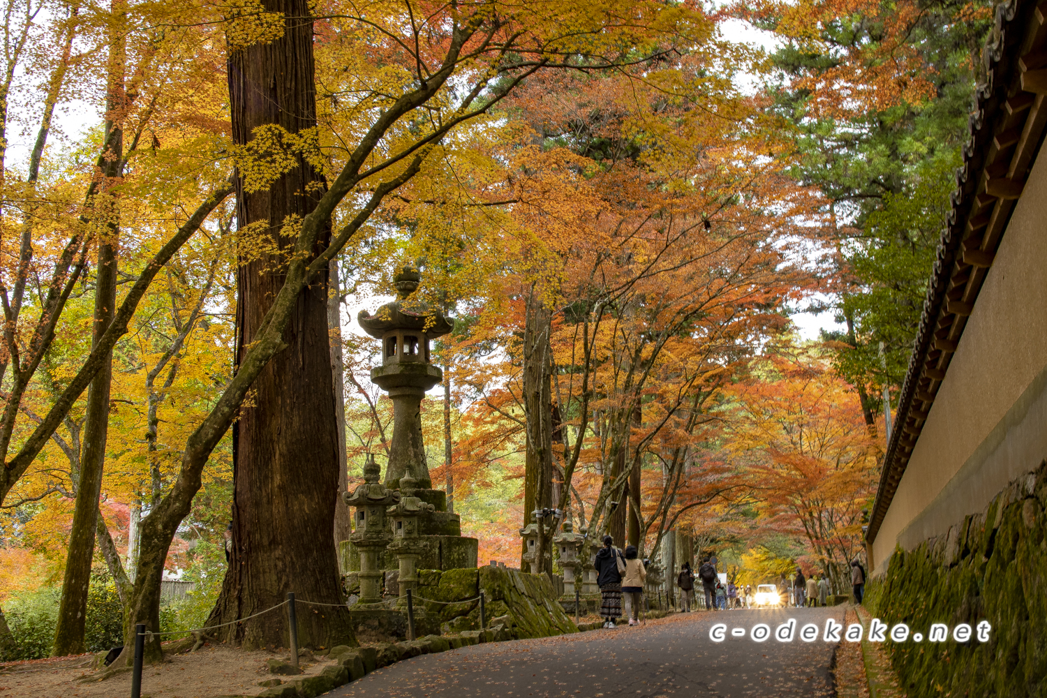 佛通寺のクチコミ一覧 - じゃらんnet