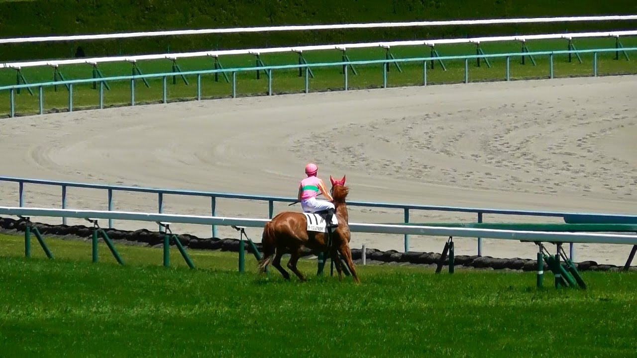 第160回 天皇賞・秋 回顧競馬 研究ニュース